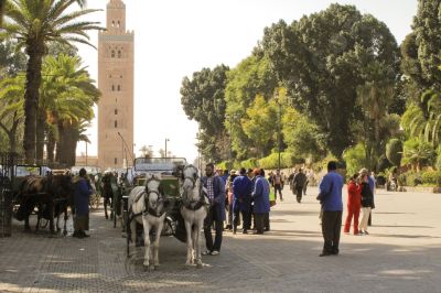 Vue sur la Koutoubia - Photo libre de droit - PABvision.com