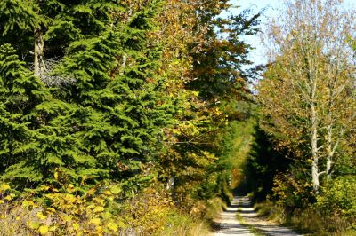 Chemin de fort - Photo libre de droit - PABvision.com