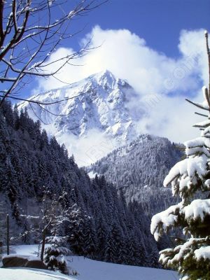 Paysage d'hiver - Photo libre de droit - PABvision.com