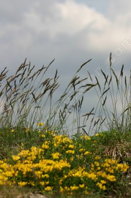 Jour de printemps - Photo libre de droit - PABvision.com