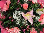 Photo libre - Bouquet de fleurs