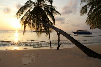 Fihaalhohi Maldives paysage de rve - Photo libre de droit - PABvision.com